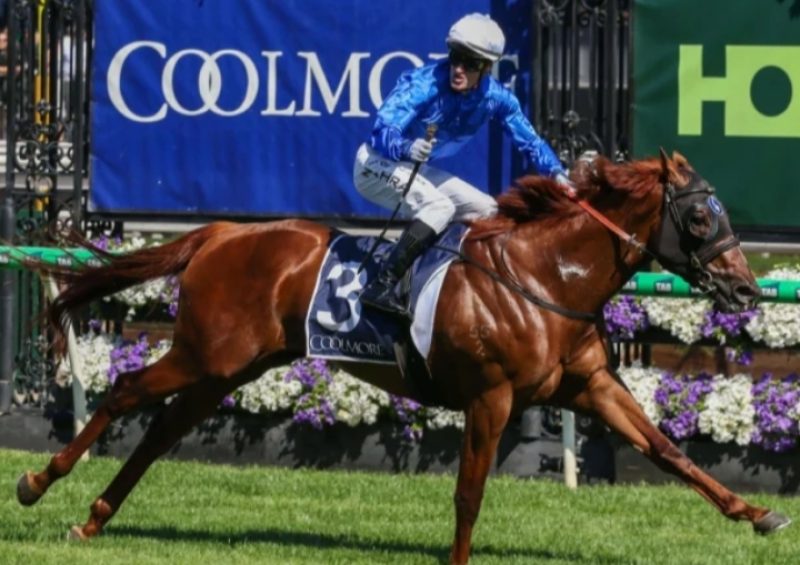 Oplus_131072