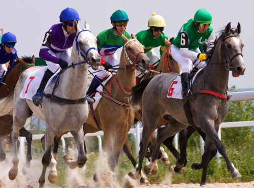 Race Tips Every New Horse Racing Bettor